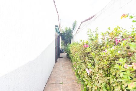 Casa à venda com 300m², 4 quartos e 4 vagasQuintal