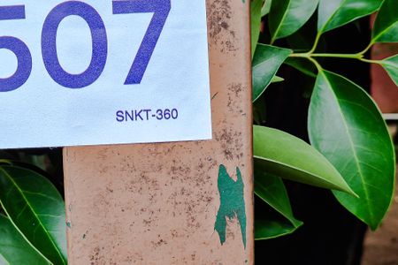 Apartamento à venda com 44m², 2 quartos e sem vaga Apartamento à venda com 44m², 2 quartos e sem vagaSNKT-360