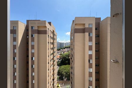 Apartamento para alugar com 65m², 3 quartos e 1 vaga Apartamento para alugar com 65m², 3 quartos e 1 vagaVista do Quarto 3