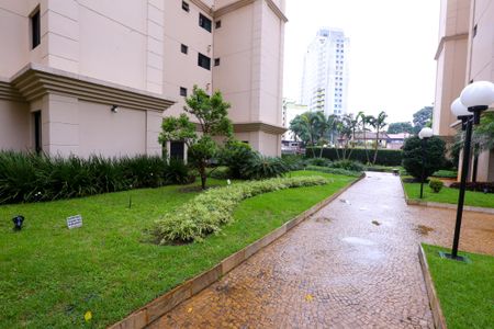 Apartamento para alugar com 80m², 3 quartos e 1 vaga Apartamento para alugar com 80m², 3 quartos e 1 vagaÁrea comum