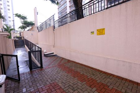 Apartamento para alugar com 80m², 3 quartos e 1 vaga Apartamento para alugar com 80m², 3 quartos e 1 vagaEspaço Pet