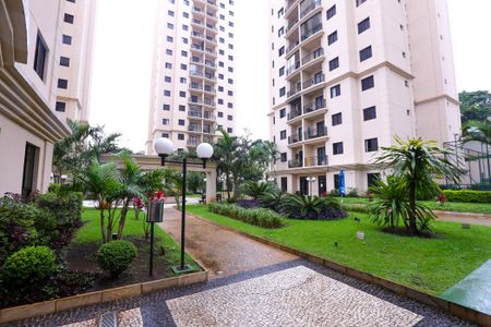 Apartamento para alugar com 80m², 3 quartos e 1 vaga Apartamento para alugar com 80m², 3 quartos e 1 vagaJardim