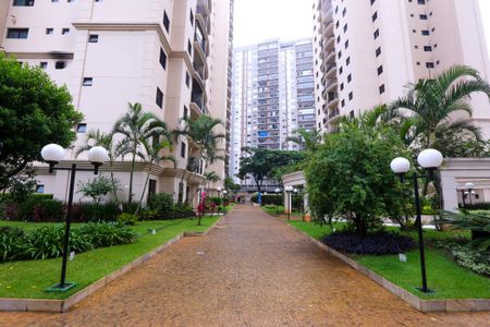 Apartamento para alugar com 80m², 3 quartos e 1 vaga Apartamento para alugar com 80m², 3 quartos e 1 vagaÁrea comum