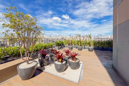 Rooftop de apartamento para alugar com 1 quarto, 28m² em Liberdade, São Paulo