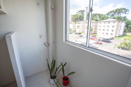 Apartamento para alugar com 2 quartos, 48m² em Parque da Fonte, São José dos Pinhais
