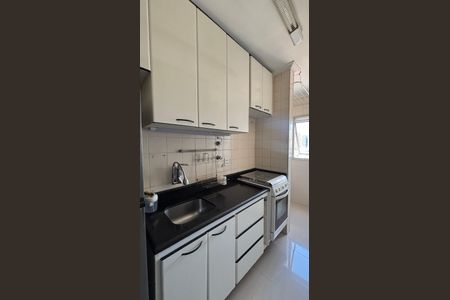 Apartamento para alugar com 52m², 2 quartos e 1 vagaCozinha