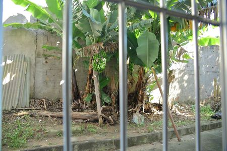 Casa para alugar com 60m², 1 quarto e sem vagaVista do Quarto 