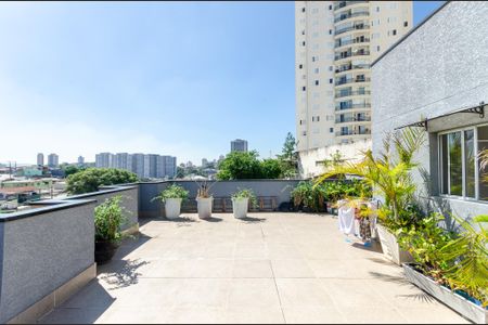 Studio para alugar com 25m², 1 quarto e sem vagaTerraço