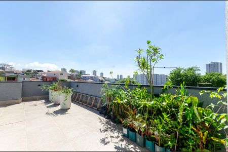 Studio para alugar com 25m², 1 quarto e sem vagaTerraço