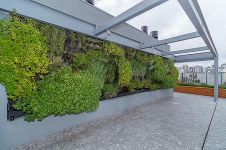 Apartamento para alugar com 30m², 1 quarto e sem vaga Apartamento para alugar com 30m², 1 quarto e sem vagaTerraço