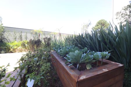 Apartamento à venda com 50m², 2 quartos e sem vagaÁrea comum - Horta