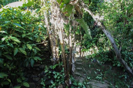 Casa à venda com 378m², 2 quartos e 1 vaga Casa à venda com 378m², 2 quartos e 1 vagaJardim