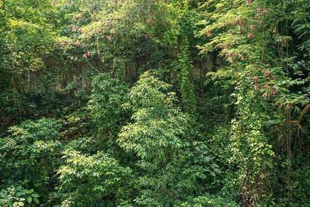 Apartamento à venda com 36m², 1 quarto e sem vaga