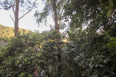 Vista da Varanda do Quarto 1 de casa para alugar com 3 quartos, 85m² em Recreio da Borda do Campo, Santo André