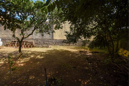 Casa para alugar com 243m², 2 quartos e 5 vagasQuintal