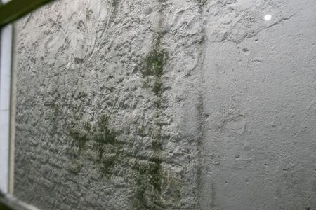 Casa à venda com 300m², 6 quartos e 2 vagasVista do Quarto 2