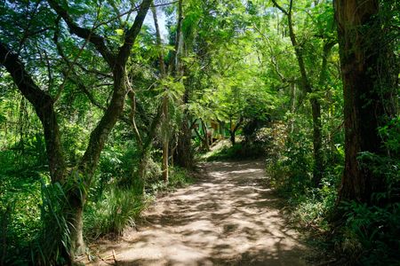 Studio para alugar com 40m², 1 quarto e sem vaga Studio para alugar com 40m², 1 quarto e sem vagaÁrea comum