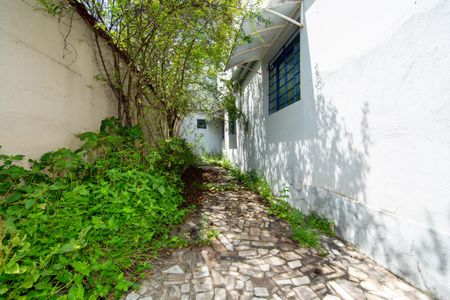 Casa para alugar com 483m², 5 quartos e 4 vagasAREA EXTERNA 