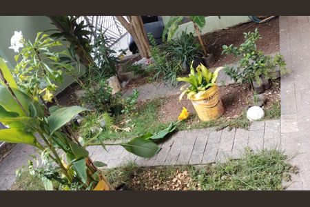 Casa à venda com 206m², 6 quartos e 3 vagasAREA EXTERNA