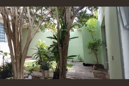 Casa à venda com 206m², 6 quartos e 3 vagasAREA EXTERNA