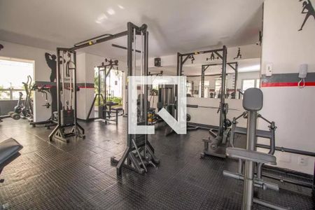 Apartamento para alugar com 196m², 3 quartos e 1 vaga Apartamento para alugar com 196m², 3 quartos e 1 vagaÁrea comum - Academia