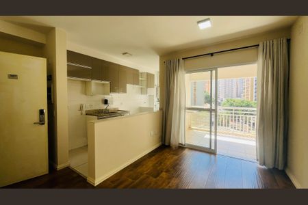 Apartamento para alugar com 1 quarto, 50m² em Cambuí, Campinas