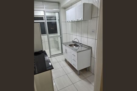 Cozinha de apartamento para alugar com 2 quartos, 49m² em Belenzinho, São Paulo