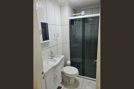 Banheiro de apartamento para alugar com 2 quartos, 49m² em Belenzinho, São Paulo