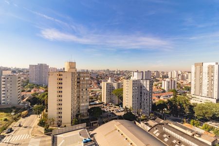 Apartamento à venda com 2 quartos, 86m² em Vila Santa Catarina, São Paulo