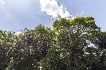 Casa de condomínio para alugar com 250m², 3 quartos e 3 vagasVista da Suíte