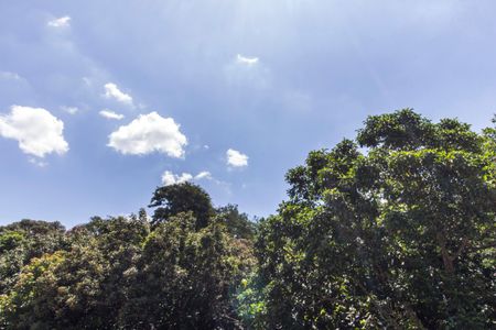 Casa de condomínio para alugar com 250m², 3 quartos e 3 vagasVista da Suíte