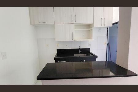 Apartamento para alugar com 46m², 2 quartos e 1 vagaCozinha