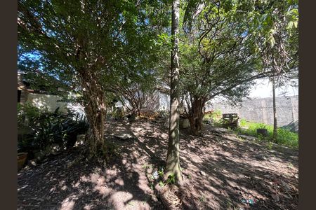 Casa à venda com 800m², 2 quartos e 5 vagasÁrea externa