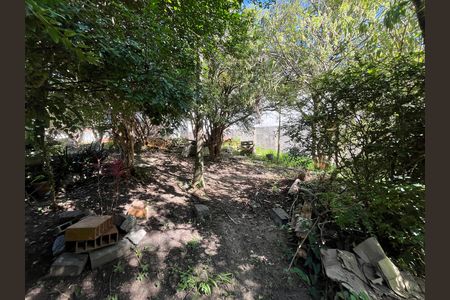 Casa à venda com 800m², 2 quartos e 5 vagasÁrea externa