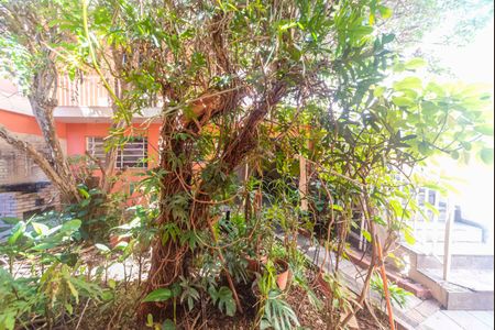Casa à venda com 270m², 6 quartos e 2 vagasVista do Quarto 5