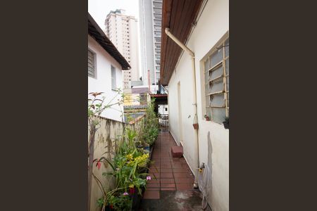 Casa para alugar com 165m², 2 quartos e 3 vagasQuintal