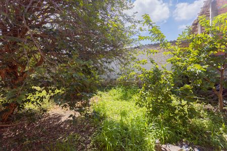 Casa para alugar com 900m², 4 quartos e 3 vagasQuintal