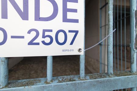 Casa para alugar com 378m², 2 quartos e 1 vagaPlaca