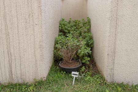 Apartamento à venda com 66m², 2 quartos e 2 vagasÁrea comum - horta 