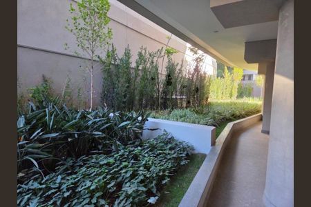 Apartamento para alugar com 1 quarto, 32m² em Butantã, São Paulo