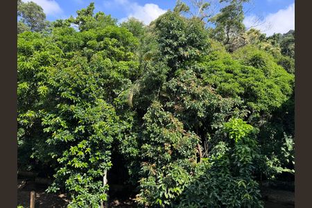 Sala - Vista de apartamento para alugar com 1 quarto, 38m² em Vargem Grande, Rio de Janeiro