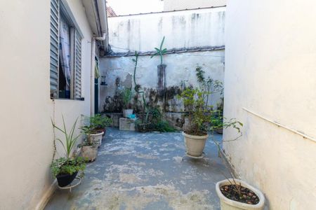 Casa à venda com 110m², 3 quartos e 2 vagas Casa à venda com 110m², 3 quartos e 2 vagasQuintal