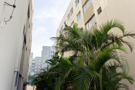 Apartamento à venda com 60m², 2 quartos e 1 vaga Apartamento à venda com 60m², 2 quartos e 1 vagaÁrea Comum