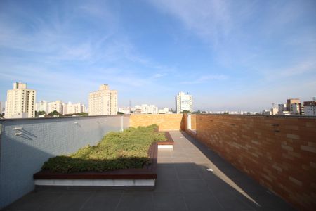 Apartamento para alugar com 39m², 1 quarto e 1 vagaTerraço