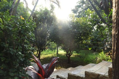 Casa para alugar com 1395m², 4 quartos e 15 vagasÁrea comum