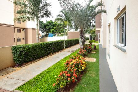 Apartamento para alugar com 46m², 3 quartos e 1 vaga Apartamento para alugar com 46m², 3 quartos e 1 vagaÁrea comum