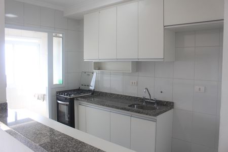 Apartamento para alugar com 69m², 2 quartos e 2 vagasCozinha