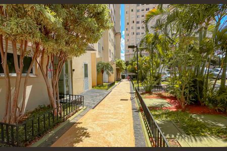 Apartamento para alugar com 45m², 2 quartos e 1 vaga Apartamento para alugar com 45m², 2 quartos e 1 vagaÁrea comum