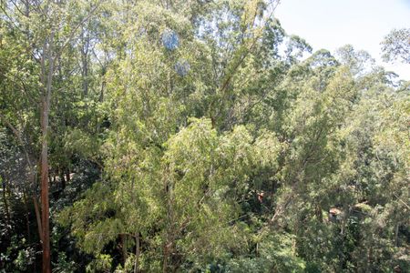 Apartamento à venda com 3 quartos, 72m² em Vila Andrade, São Paulo