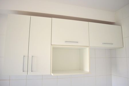 Apartamento para alugar com 49m², 2 quartos e 1 vagaCozinha - Armários